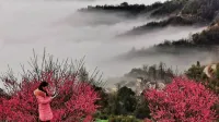 Xiangrikui Inn