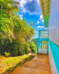 Blue Whale Villa Hotels in 