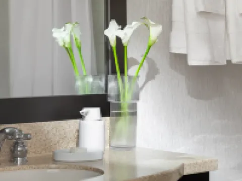 Chelsea Hotel Toronto โรงแรมในโตรอนโต