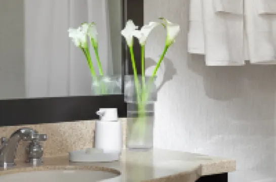 Chelsea Hotel Toronto