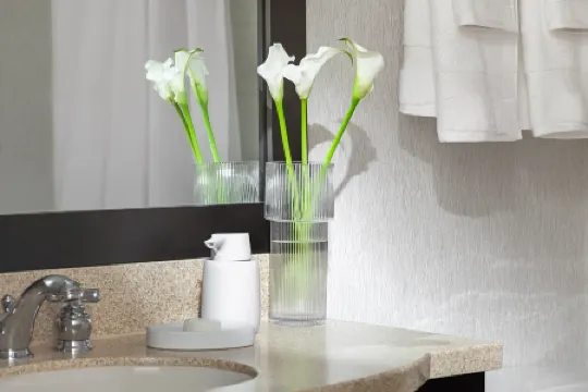 Chelsea Hotel Toronto