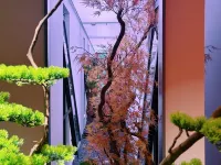 禧悅設計師HOTEL（二馬路美食街中山渡口店） 汕尾住宿飯店