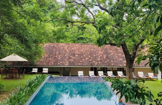 回聲獅子巖酒店（舉步700米直達獅子巖）