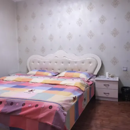 Dingxi Fengyi Homestay