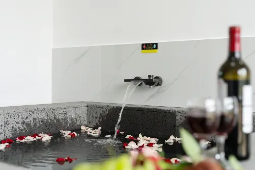 聚源·茶敘·溫泉私湯山景度假雅墅(武夷山三姑度假區店) 武夷山住宿飯店