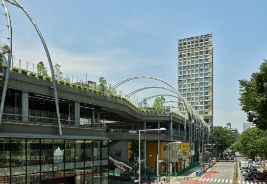 시부야 야경 뷰