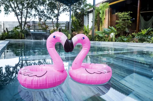 Eco House Villa - piscina