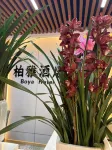 Boya Hotel - 2-Star