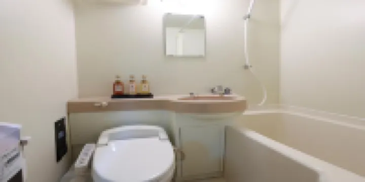 東京淺草多美迎快捷酒店（多美迎・御宿野乃 酒店集團）