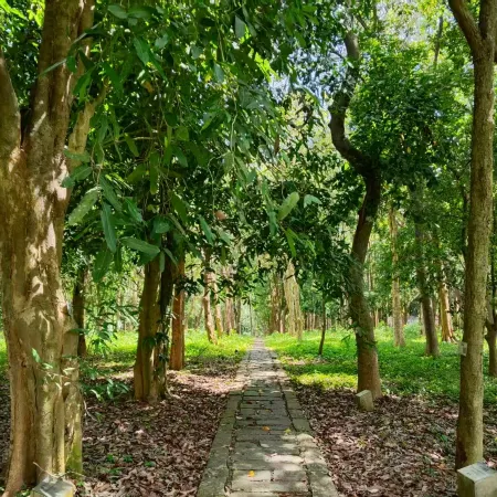 Asia-Pacific Forest Organization Jianfeng Forest Wellness and Nature Education Base