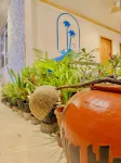 Serene Dhigurah