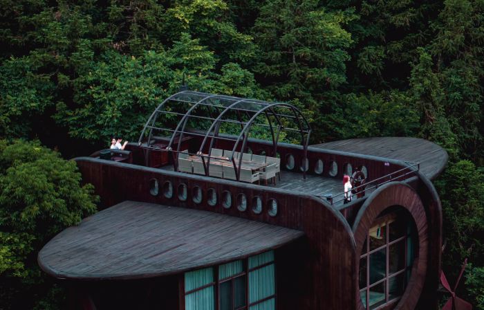 Ziyoujia · Tree house World