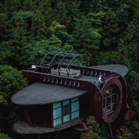Ziyoujia · Tree house World