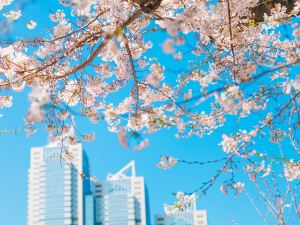 東京柏悦大酒店