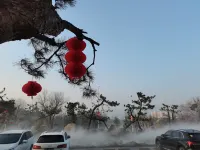Sunshine Songting Yaxuan Hotel - Parking