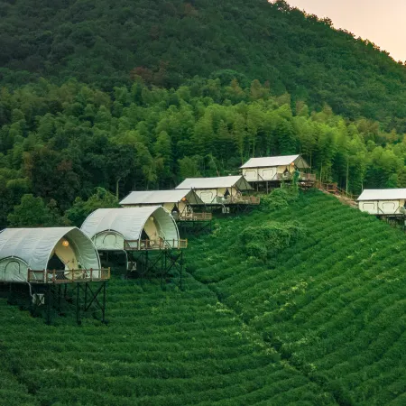 Chayeli Wild Luxury Tent Camp