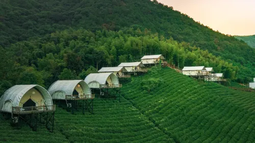 Chayeli Wild Luxury Tent Camp - Campgrounds
