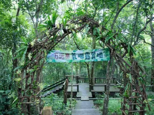 方諾寨·雨林生態莊園