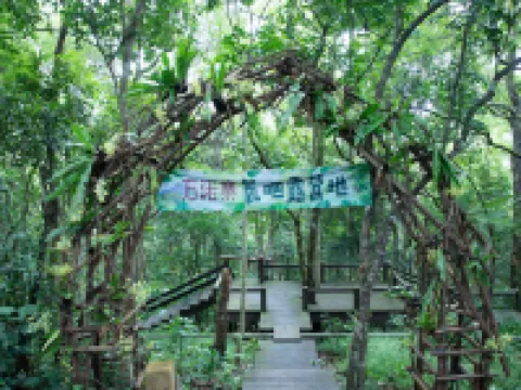 Fangnuozhai Rain Forest Ecological Manor Hotels in Wuzhishan