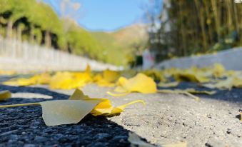 YOUNG Yang Xiaoshe Homestay(Jinshan Road Store)