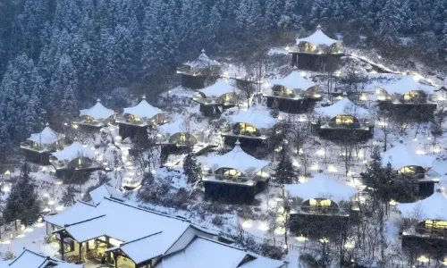 雲和梯田歸野雲海營地