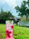 花築·莫干山自然居·鄉村四合院寵物度假民宿 - 酒吧