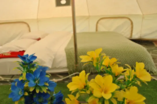 Desert Traveler Star Camping Homestay