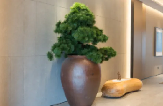 JIホテル（成都四川省大学領事館路）