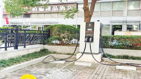 Boli Boutique Hotel (Changzhou Dinosaur Park Olympic Sports Center) Отели в г. Чанчжоу