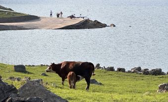 Jihuawu House, Xitashan, China