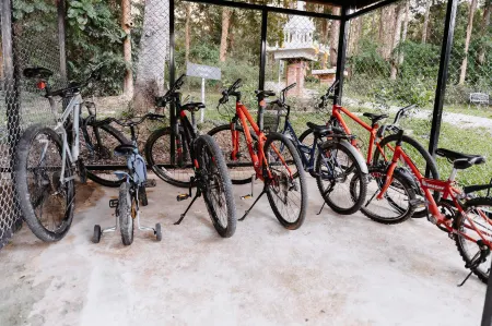 Katiliya Park Villa Отели в г. Мэ Чан