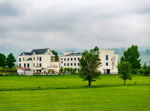 Flower Sea Nara Nominal Hotels near Nalati National Forest Park