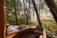 Pine River Country Hotel Hotels in Schukowski rajon