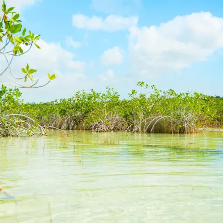 The Explorean Selva Maya Kohunlich