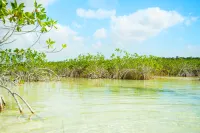 The Explorean Selva Maya Kohunlich