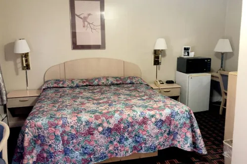 OYO Hotel Starlite Seneca Falls Hotels in Tyre