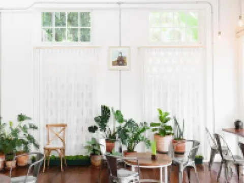 เมมมอธ คาเฟ่ แอนด์ โฮสเทล อิน ลำปาง โรงแรมในลำปาง