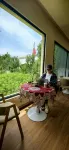 Dunhuang Yun'an Sand Residence Homestay - bar