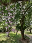 A Secret garden Design Villa -  Holiday Villas
