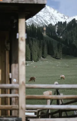 Anlan · Katenggeer · Anlan Snow Mountain View Garden Homestay (Xinjiang Kanas National Geopark)