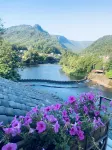 Tangli Mansion Holiday Homestay - bar