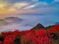 Zhumushan Residence | Zhuyin · Bamboo Zen Mountain Zen Homestay (Shengjingshan) - Mountain view
