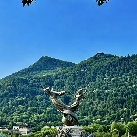 LIRUI XI'AN LINTONG