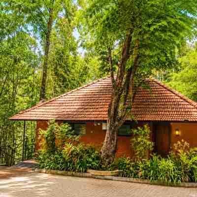 Amritara Dominic's Nature Retreat & Spa Wayanad Hotel Exterior