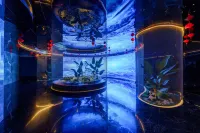 Kuqa Chaoshi Wanhua International Hotel - نادي رياضي
