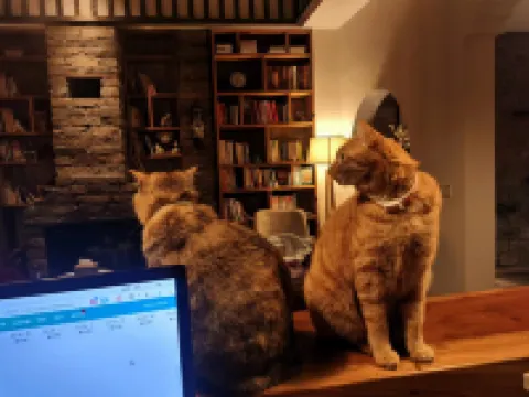 Mild Spring boutique Inn (Tunxi Old Street)