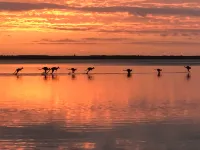 Habitat Noosa Everglades Eco Camp