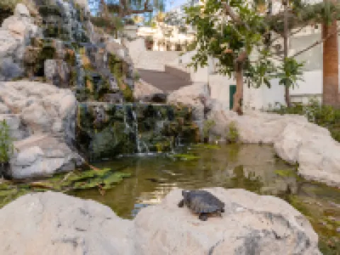 Hotel Catalonia Punta del Rey Hoteles en Candelaria