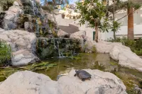 Catalonia Punta del Rey Hotels in Candelaria