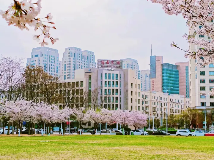 白雲賓館（天津濱海新區第二大街店）
